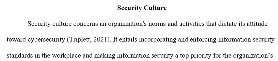 What is meant by security culture