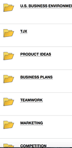 Exposure to functional areas of business, TJX, teamwork and business