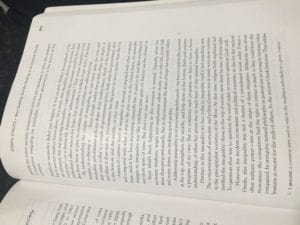 Write 3-5 paragraphs minimum explaining or illuminating any hidden meanings in the Stiglitz piece