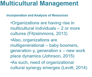 Multicultural Management