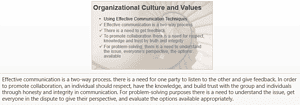 Organizational Culture and Values