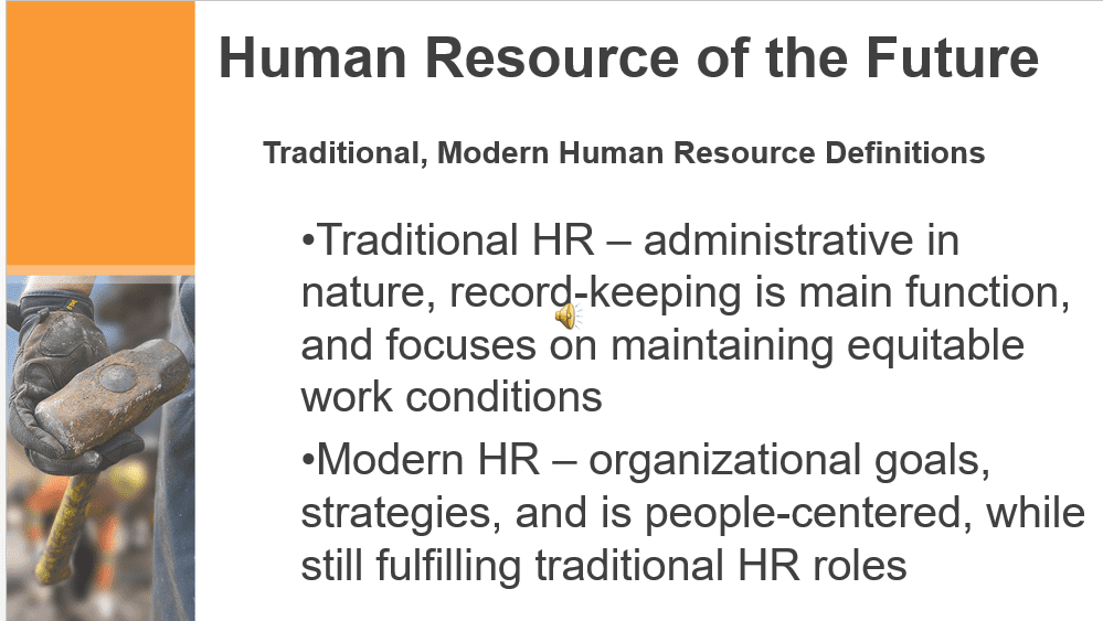 Role of an HR consultant