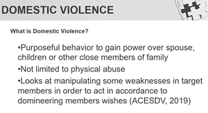 Survivors of Domestic Violence