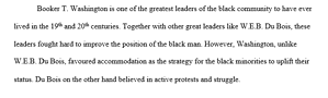 The best political strategy for minorities