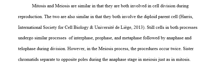 Differences Between Mitosis and Meiosis