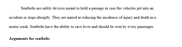 argument essay about seat belt