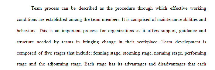 Team process 