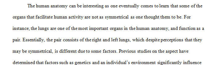 The Lung Anatomy