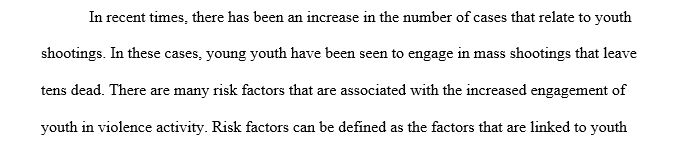 Describe the risk factors for youth-related violence