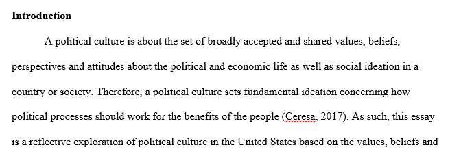 essays on cultural politics