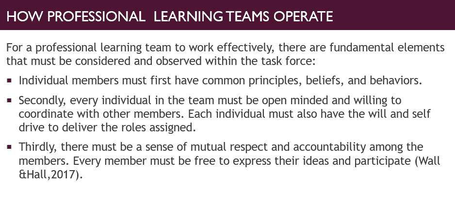 Defining best practices and needs of the professional Learning Team