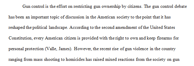 write a persuasive essay on gun control