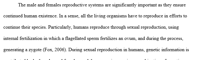 Similarities between the male and female reproductive systems