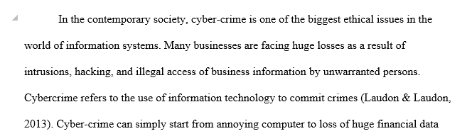 Identify two to three (2-3) human and technological protective measures
