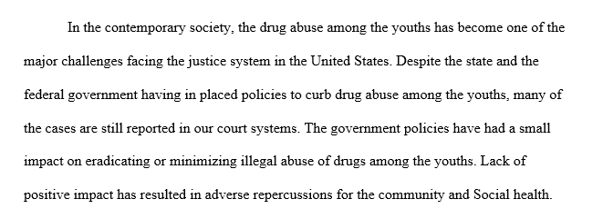 Select and then define a significant issue faced by the justice system