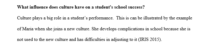 What influence does culture have on a student's school success