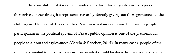 What is the role of the people in the Texas political system