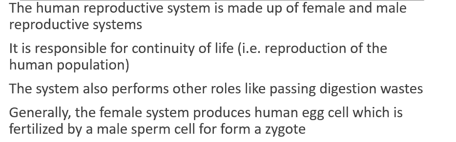 You are to pretend that the presentation is what you will use to give your son or daughter “the talk” about human reproduction