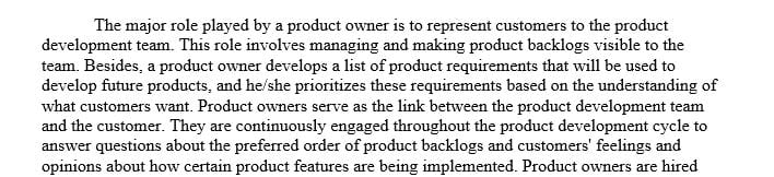 Why does product owner need both technical and functional understanding of the product