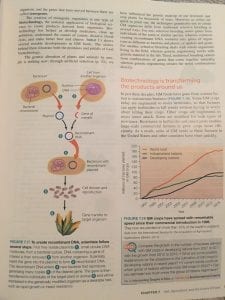 What are the arguments for and against genetically modified crops