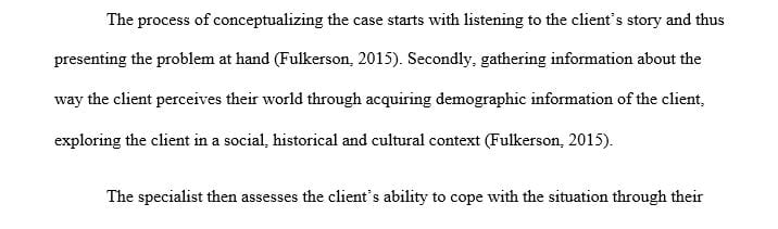 Define and describe the concept of case conceptualization