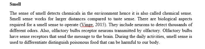 Explain how each sense functions including the biological aspects  