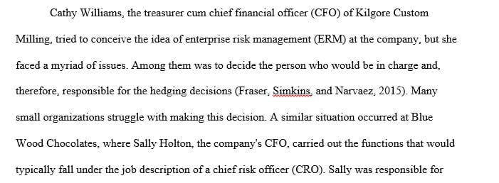 How could smaller companies without the resources for a dedicated CRO deal with ERM 
