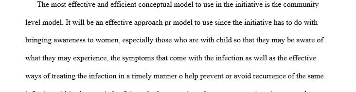 Choose a conceptual model that you think might work for your initiative