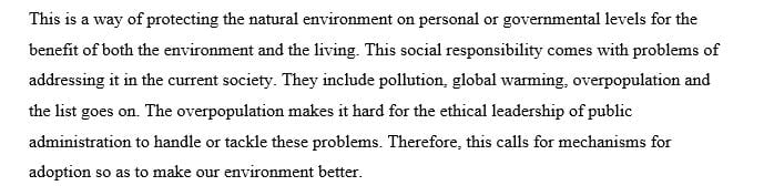 Describe the social responsibility issue from Chapter 12 of Business Ethics; Ethical Decision Making and Cases.