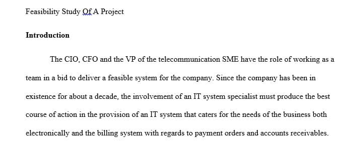 Determining various aspects of feasibility of an IT project.