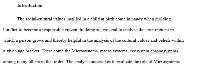 Explain the role of culture and social structure in your macrosystem  