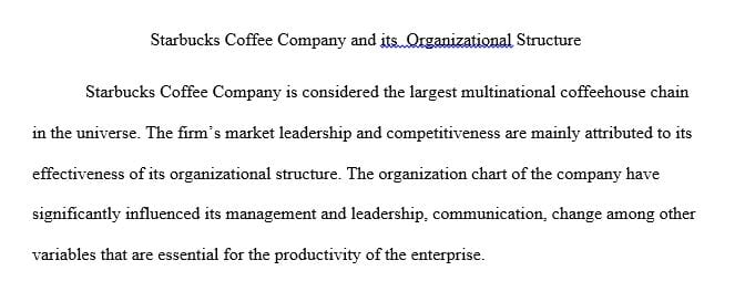 Identify a multinational company and present its current organizational chart