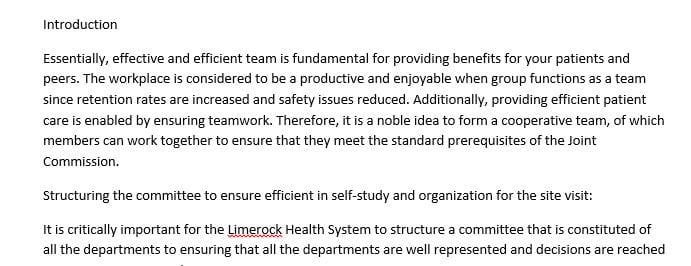 Identify and describe two measurements for the selected committee related to patient care or safety.