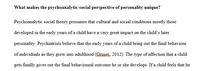 What makes the psychoanalytic-social perspective of personality unique