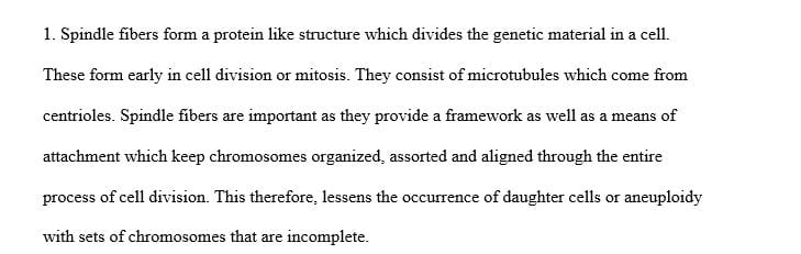 Why are spindle ﬁbers important for mitosis