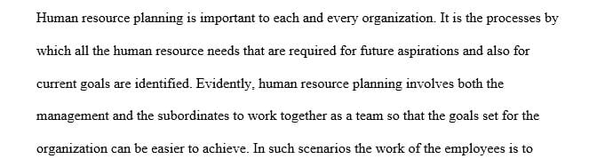 Why is it important to look at both the manager and the employee point of view when engaging in human resource planning