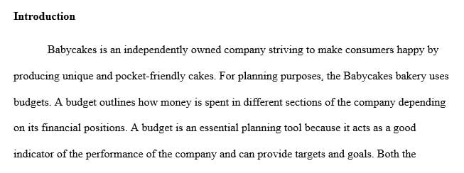 Briefly discuss the ways a realistic budget will benefit the owner of Babycakes versus no budget at all