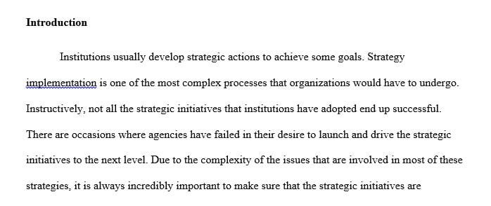 Explain how the organization will measure the strategic initiative you proposed.