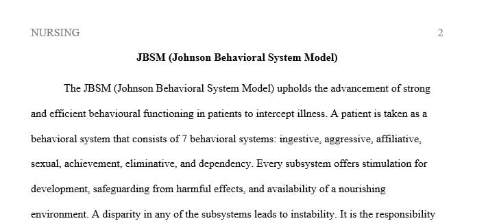 How does the Johnson Behavioral System Model provide a guide for the nursing assessment
