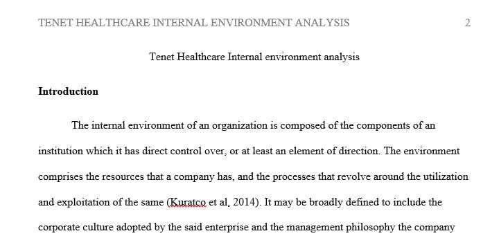 Internal Environmental Analysis - Tenet Healthcare