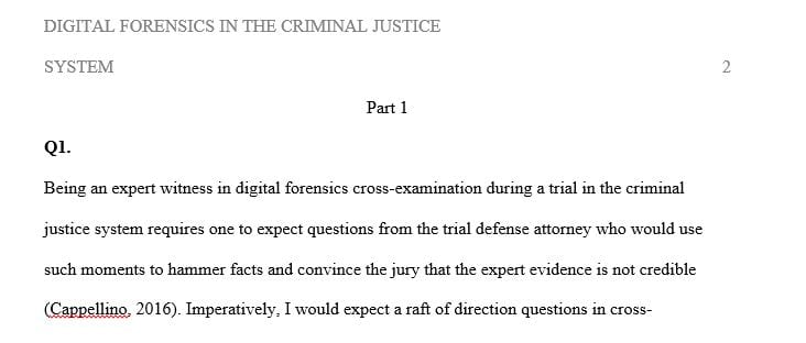 What are some questions you think that you would be asked initially on direct examination