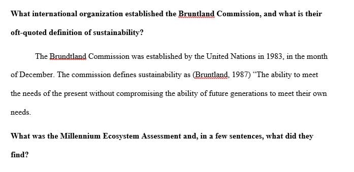 What international organization established the Bruntland Commission 