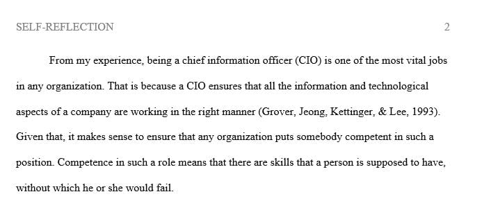 A Reflection on the Leadership role of a CIO (Chief Information Officer)