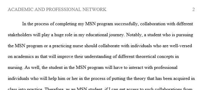 Identify at least two academic individuals or teams to collaborate with to be successful in the MSN program and as a practicing nurse.