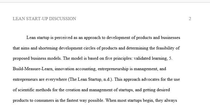 Research the Lean Startup approach and consider the principles and methodology.