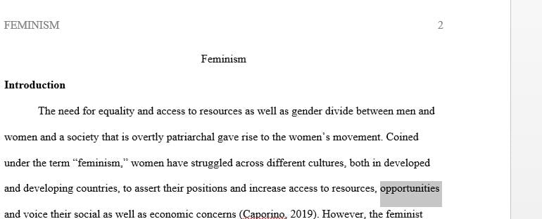 What is your understanding of feminism Who is a feminist and who can be a feminist