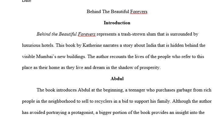 Write an essay about just one of the boys and young men of Annawadi