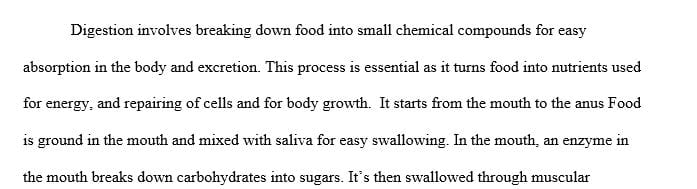 Briefly describe the path of food through the digestive system and explain each organ’s role in the digestive process.