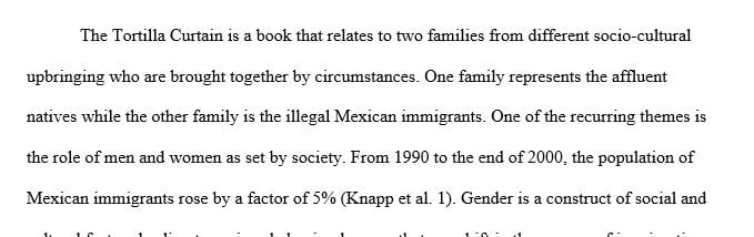 Write a research-based argumentative essay that explores the relationship between the motif in Tortilla Curtain