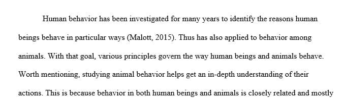 Identify 3-4 key principles that govern human and animal behavior.